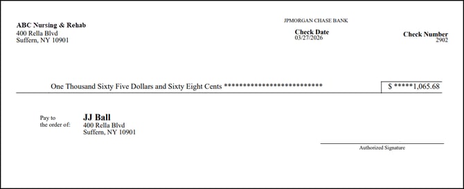 Check Stub - Paper Check 2