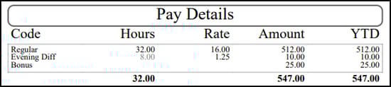 Paystub Display