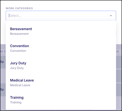 Work Categories Dropdown Selection