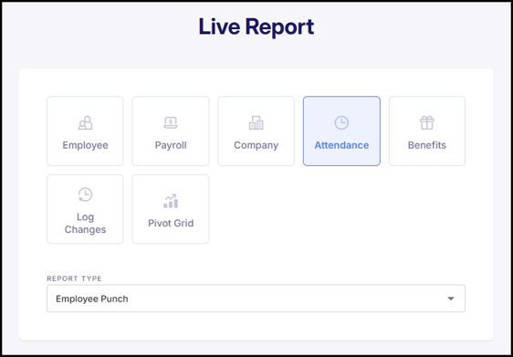 employee punch report